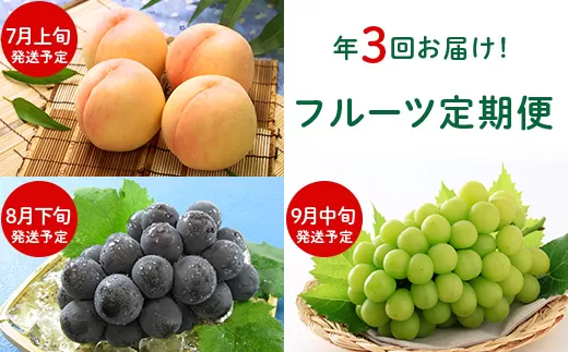 フルーツ 定期便 年3回 2026 先行予約 岡山 晴王 シャインマスカット 黒ぶどう 白桃 旬 果物 岡山県産 ブドウ もも くだもの お楽しみ定期便
