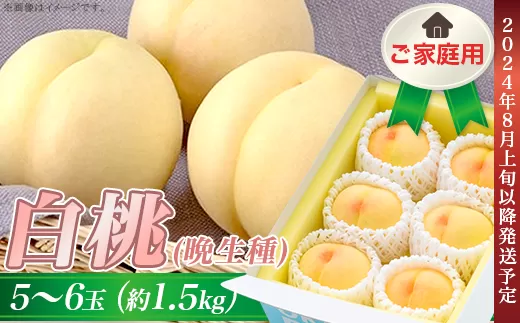 ご家庭用 白桃(晩生種) 5～6玉（約1.5kg）
