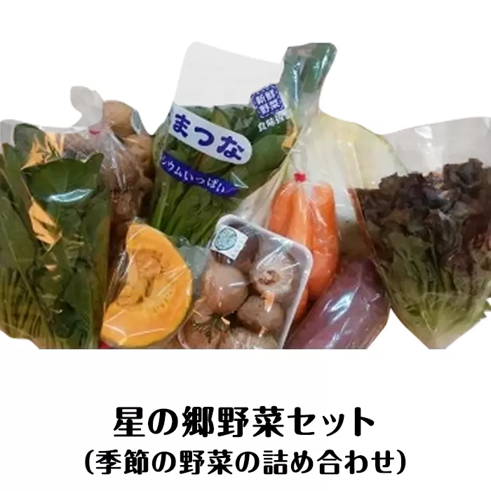 A-37　星の郷野菜セット