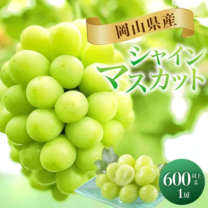 74-25 秋のシャインマスカット1房（600g以上）