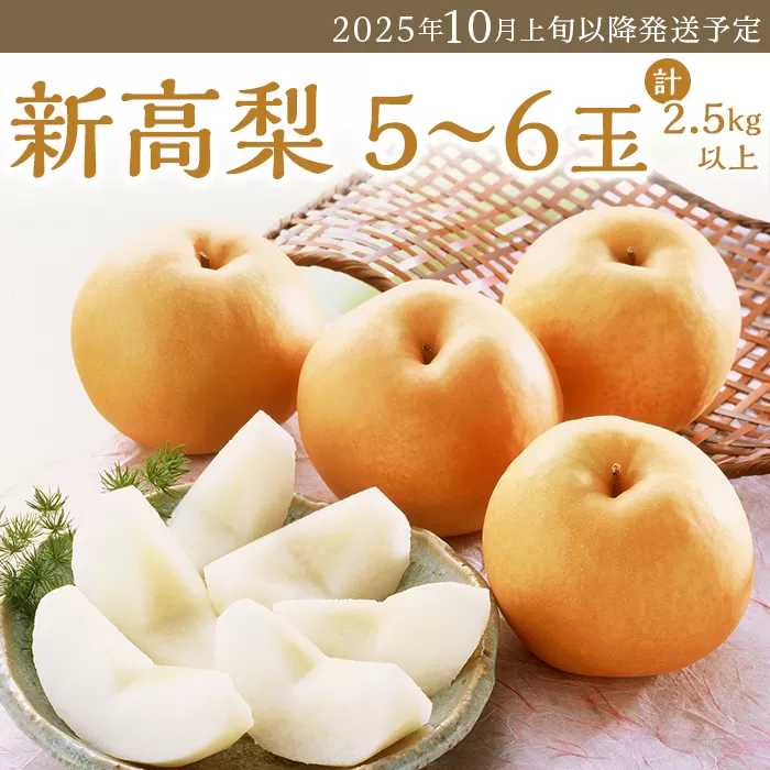 74-21 新高梨 5～6玉（2.5kg以上）【2025年10月上旬～下旬発送予定】