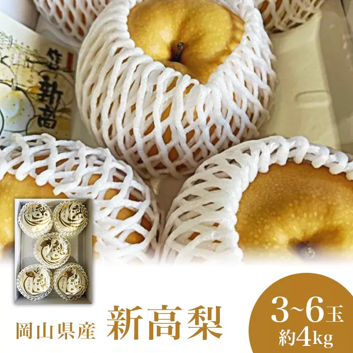 新高梨 3～6玉（約4kg）化粧箱入り【2026年9月下旬～11月上旬発送予定】