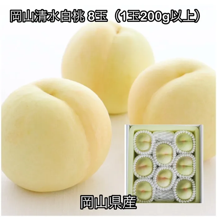 岡山清水白桃 8玉(1玉200g以上)化粧箱入り岡山県産