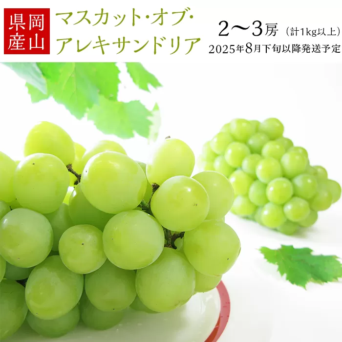 74-19 マスカット･オブ･アレキサンドリア2～3房（計1kg以上）【2025年8月下旬～9月下旬発送予定】