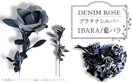 ＤＥＮＩＭ　ＲＯＳＥ - IBARA/藍バラ - プラチナシルバー