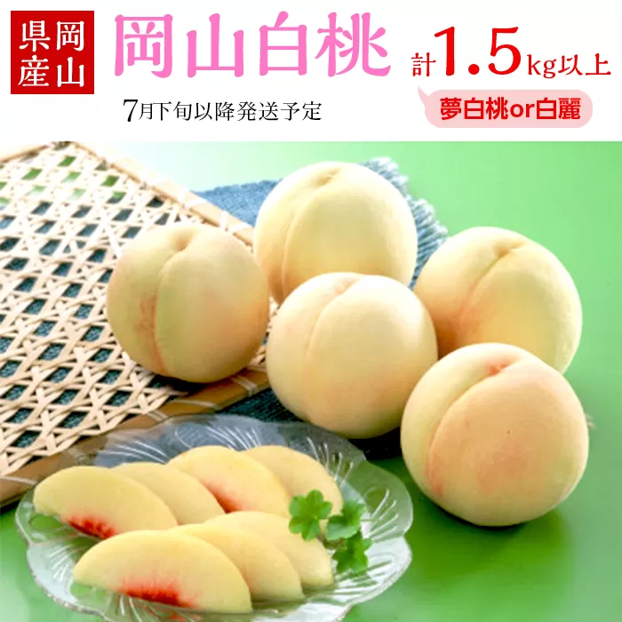 74-14 白桃5~7玉(夢白桃もしくは白麗)【2026年7月下旬~8月上旬発送予定】