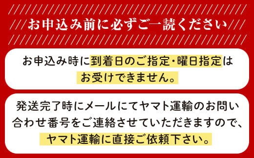 セルビッチデニムトートバッグ【広島東洋カープ承認グッズ