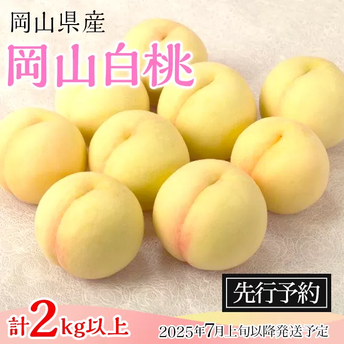 74-10 白桃8～10玉（2kg以上）【2025年7月上旬～8月上旬頃発送予定】