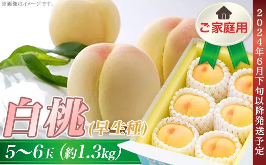 ご家庭用　岡山の白桃（早生種）5～6玉（約1.3kg）
