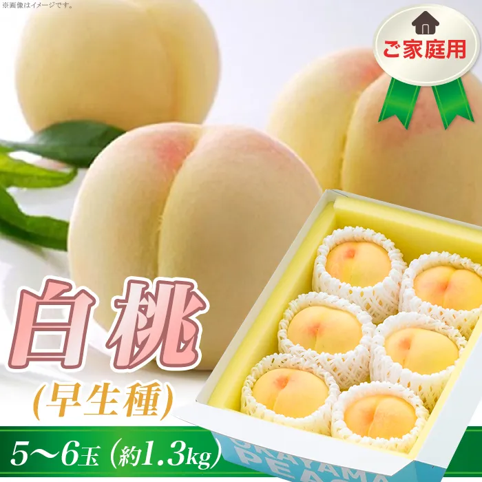ご家庭用　岡山の白桃（早生種）5～6玉（約1.3kg）【27年6月下旬以降に順次発送】