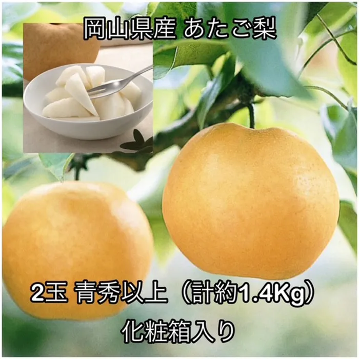 あたご梨 2玉 青秀以上 (約1.4kg )化粧箱入り 岡山県産