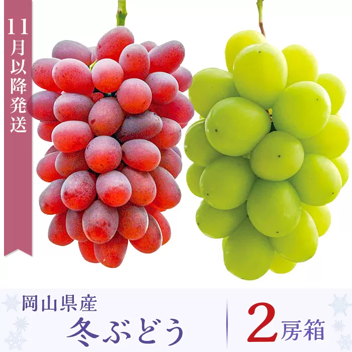 岡山県産冬ぶどう２房【2026年11月以降発送】（いばら愛菜館）