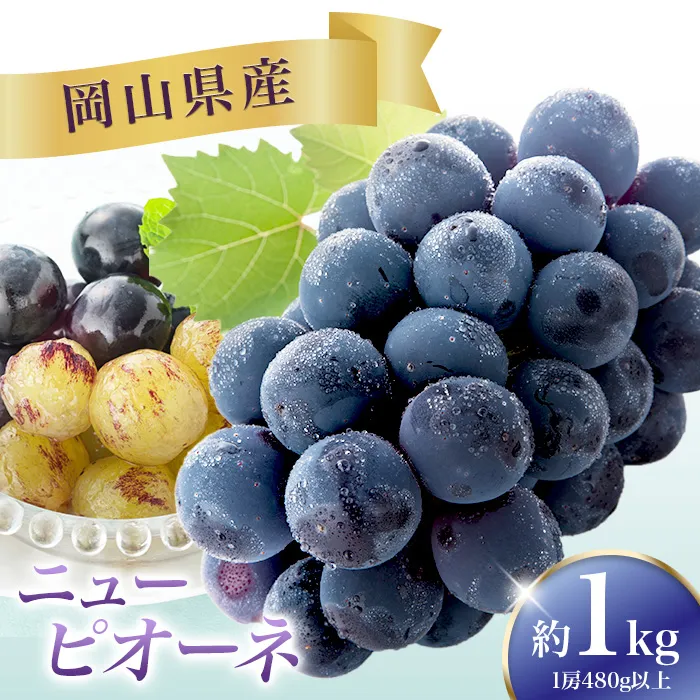 ニューピオーネ 2房(1房480g以上)【2026年8月下旬～10月上旬発送予定】