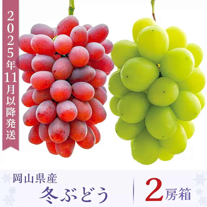 岡山県産冬ぶどう２房【2025年11月以降発送】（いばら愛菜館）