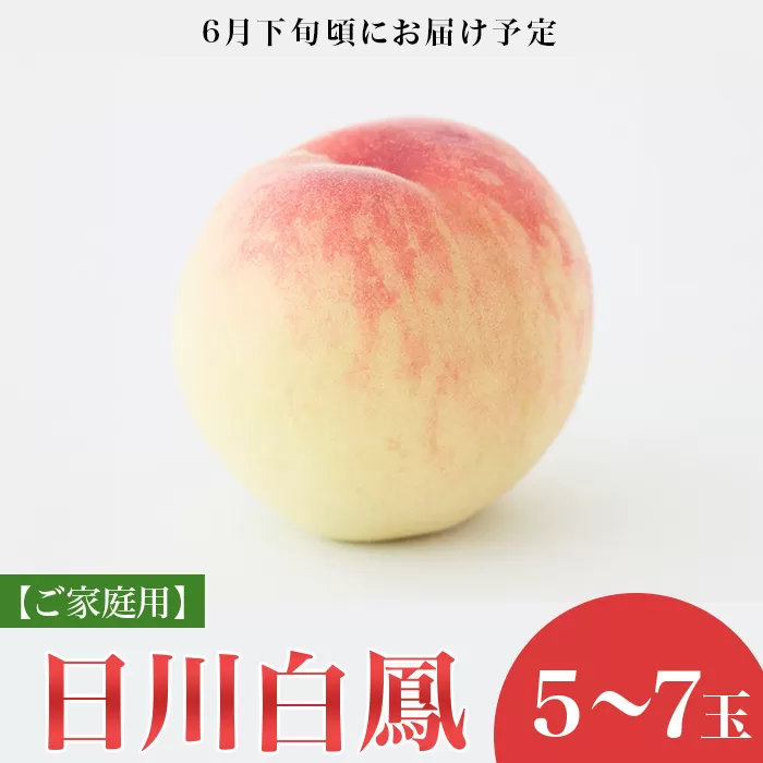 【ご家庭用】岡山の桃 日川白鳳 5～7玉【2026年6月下旬頃から順次発送】