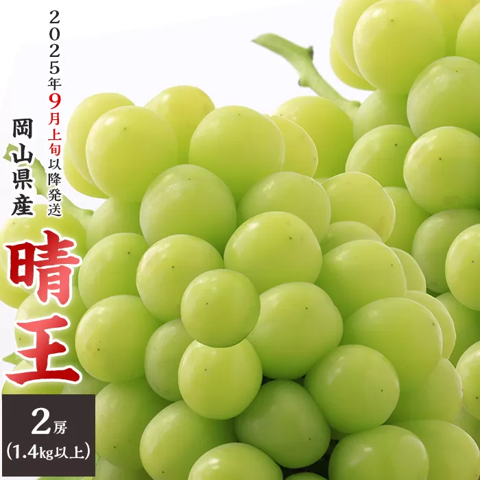 74-17 「晴王」2房（1.4kg以上）【2025年9月上旬～10月上旬発送予定】
