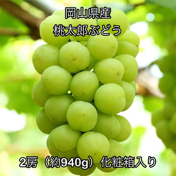 桃太郎ぶどう2房(約940g) 化粧箱入り 岡山県産