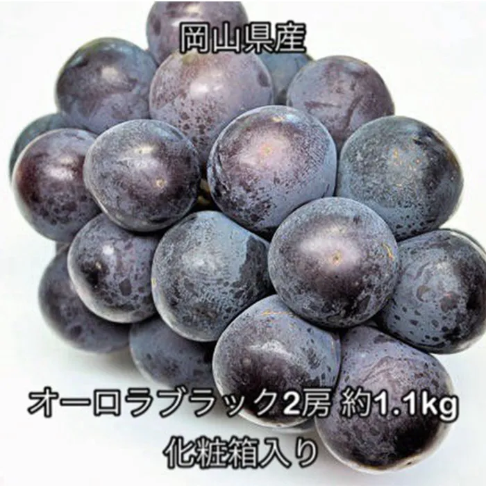 オーロラブラック 2房 (約1.1kg) 化粧箱入り 岡山県産