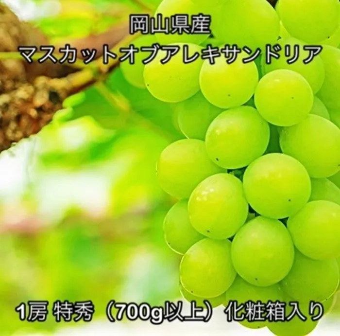 マスカットオブアレキサンドリア 1房 特秀(700g以上)化粧箱入り岡山県産