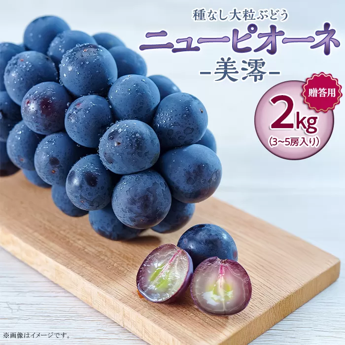 岡山県井原市美星町産 ニューピオーネ「美澪」 2kg箱（3～5房入り）贈答用