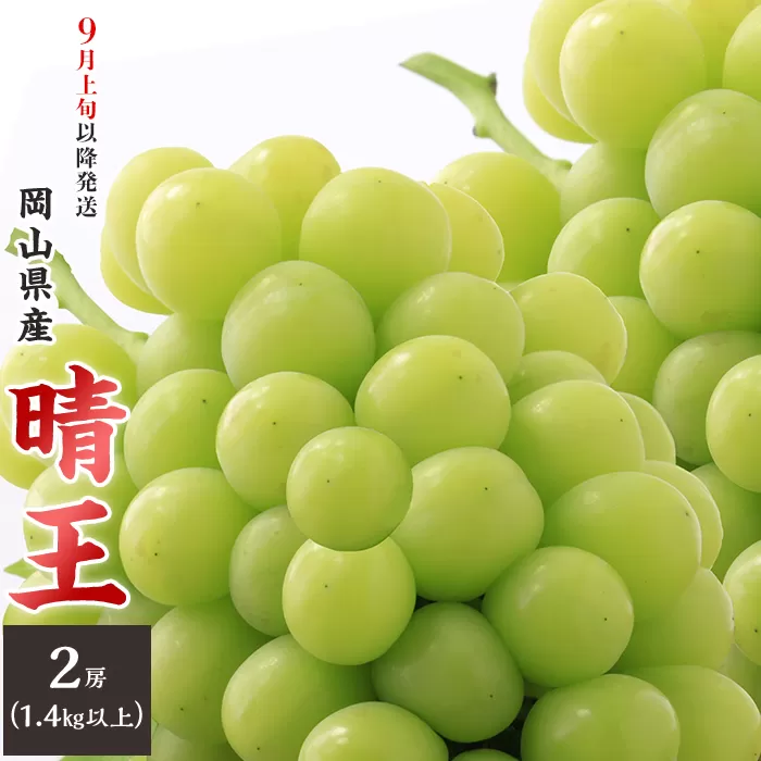 74-17 「晴王」2房（1.4kg以上）【2026年9月上旬～10月上旬発送予定】