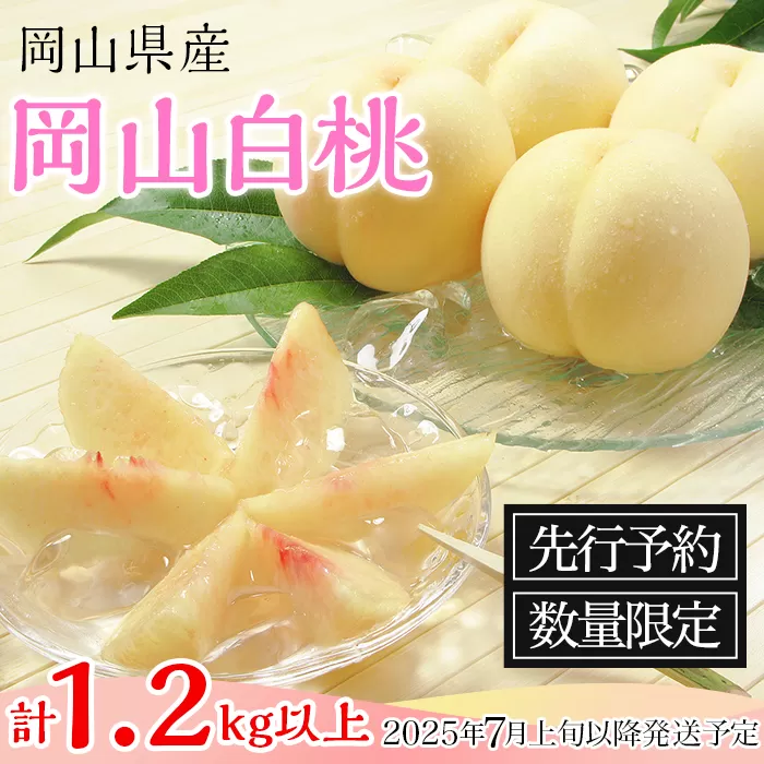 74-03 白桃5～6玉（1.2kg以上）【2025年7月上旬～8月上旬頃発送予定】