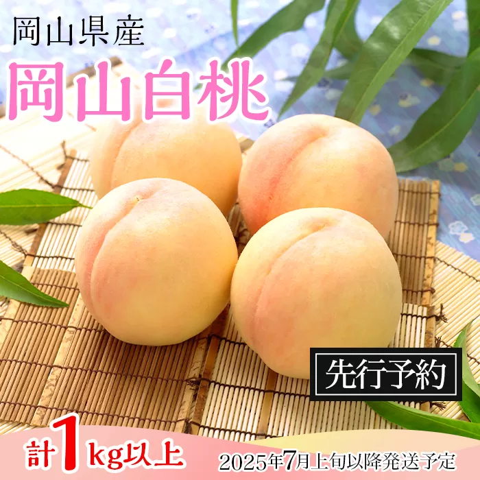 74-09 白桃4玉（1kg以上）【2025年7月上旬～8月上旬頃発送予定】