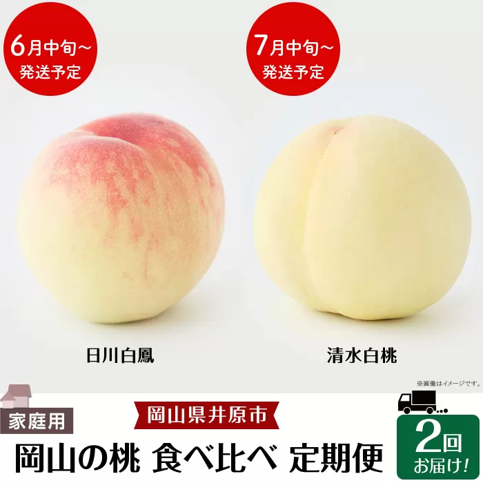 岡山の桃 食べ比べ定期便（年2回）【2026年産】