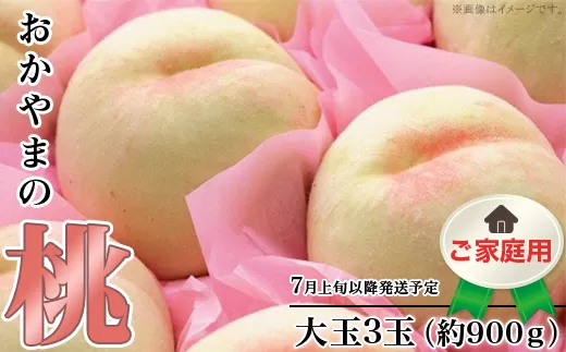 【ご家庭用】おかやまの桃 大玉3玉（約900ｇ）