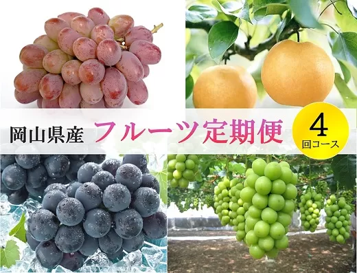 岡山県産 フルーツ定期便 4回コース