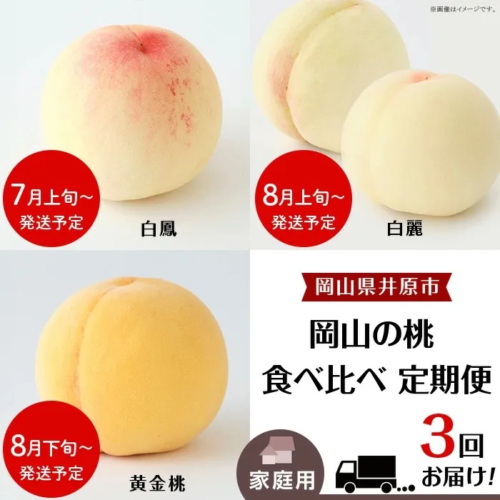 岡山の桃 食べ比べ定期便（年3回）【2027年産】
