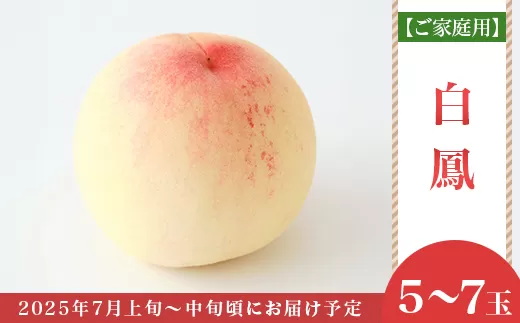 【ご家庭用】岡山白桃 白鳳 5～7玉