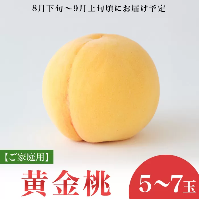 【ご家庭用】岡山県産 黄金桃 5～7玉【2026年8月下旬頃から順次発送】