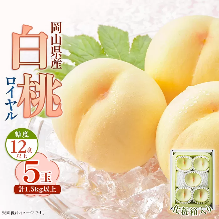 岡山県産 白桃ロイヤル 5玉（1.5kg以上）化粧箱入り
