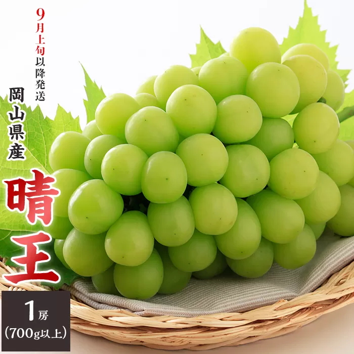 74-16 「晴王」1房（700g以上）【2026年9月上旬～10月上旬発送予定】