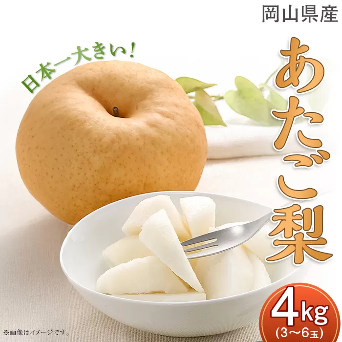 あたご梨 3～6玉（約4kg）化粧箱入り