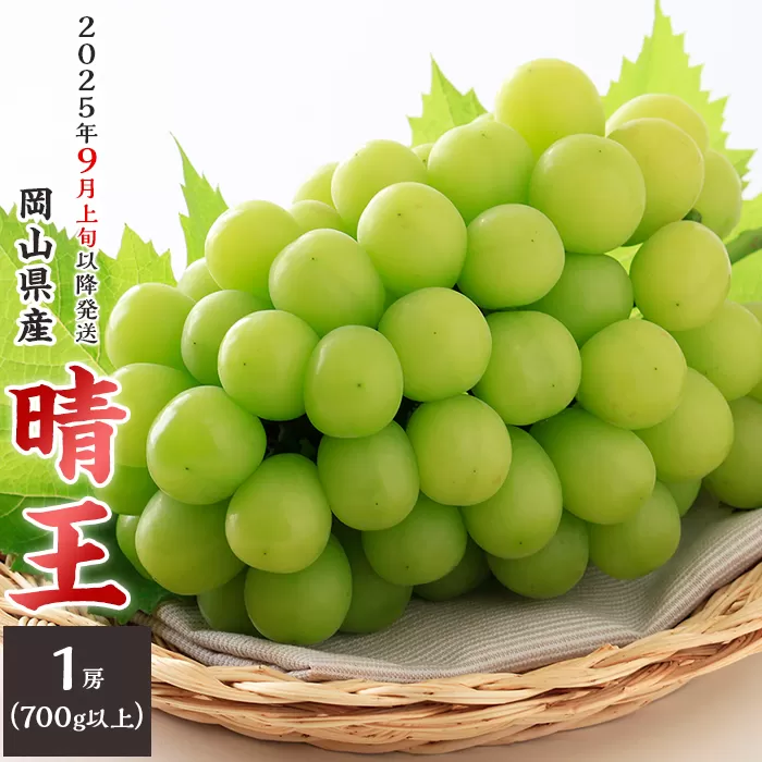 74-16 「晴王」1房（700g以上）【2025年9月上旬～10月上旬発送予定】