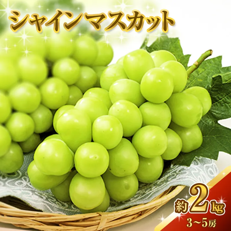 シャインマスカット 約2kg 3～5房 ぶどう 葡萄 フルーツ 岡山 高梁市産 2025年 先行予約 果物類 果物 