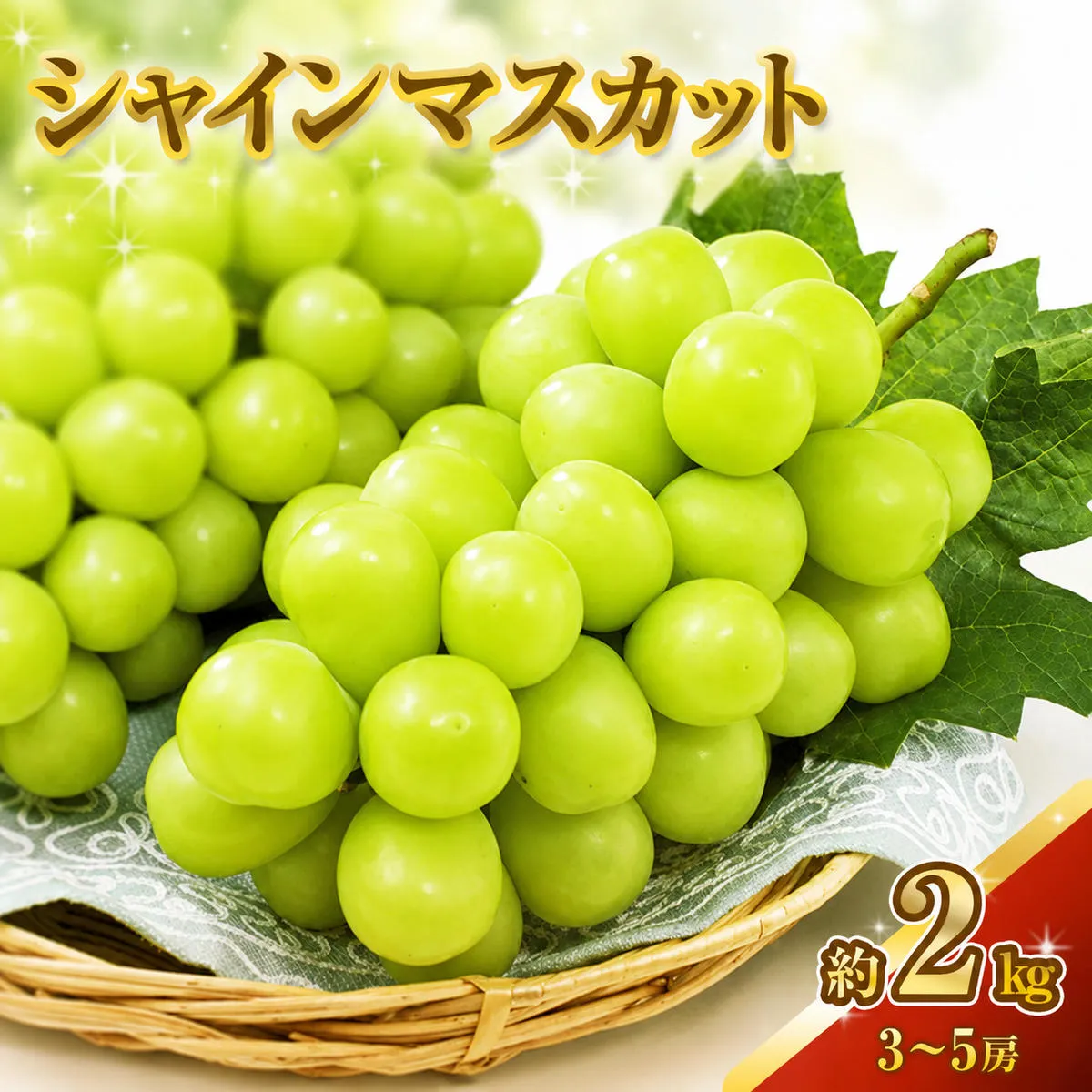 シャインマスカット 約2kg 3～5房 ぶどう 葡萄 フルーツ 岡山 高梁市産 2026年 先行予約 果物類 果物 