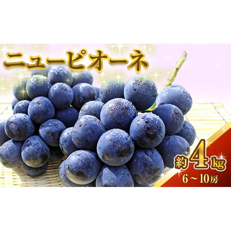 ニュー ピオーネ 約4kg ぶどう 葡萄 フルーツ 岡山 高梁市産 2026年 先行予約 果物類 果物