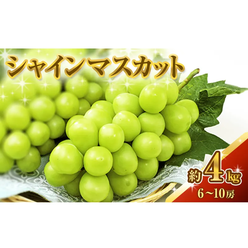 シャインマスカット 約4kg ぶどう 葡萄 フルーツ 岡山 高梁市産 2026年 先行予約 果物類 芳醇な香り 種なし 皮ごと
