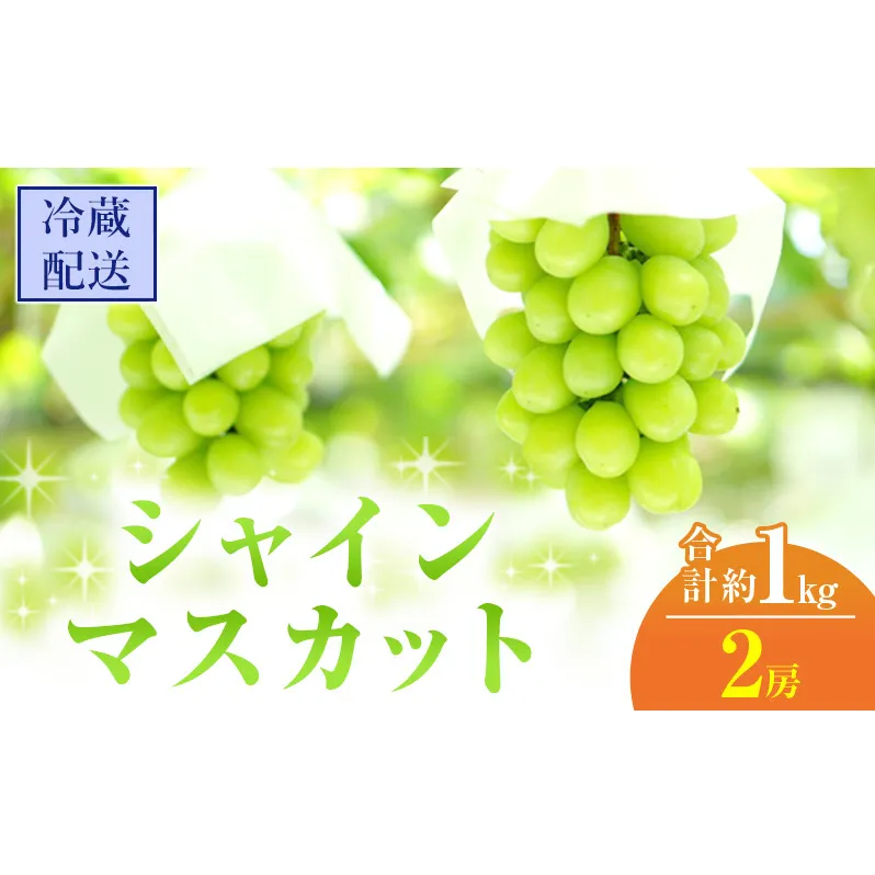 2025年 先行予約 シャインマスカット 2房 合計約1kg 冷蔵配送 ぶどう 葡萄 フルーツ 果物 岡山 岡山のぶどう 岡山の果物 食後 デザート 産地直送 大粒 皮ごと 種無し 
