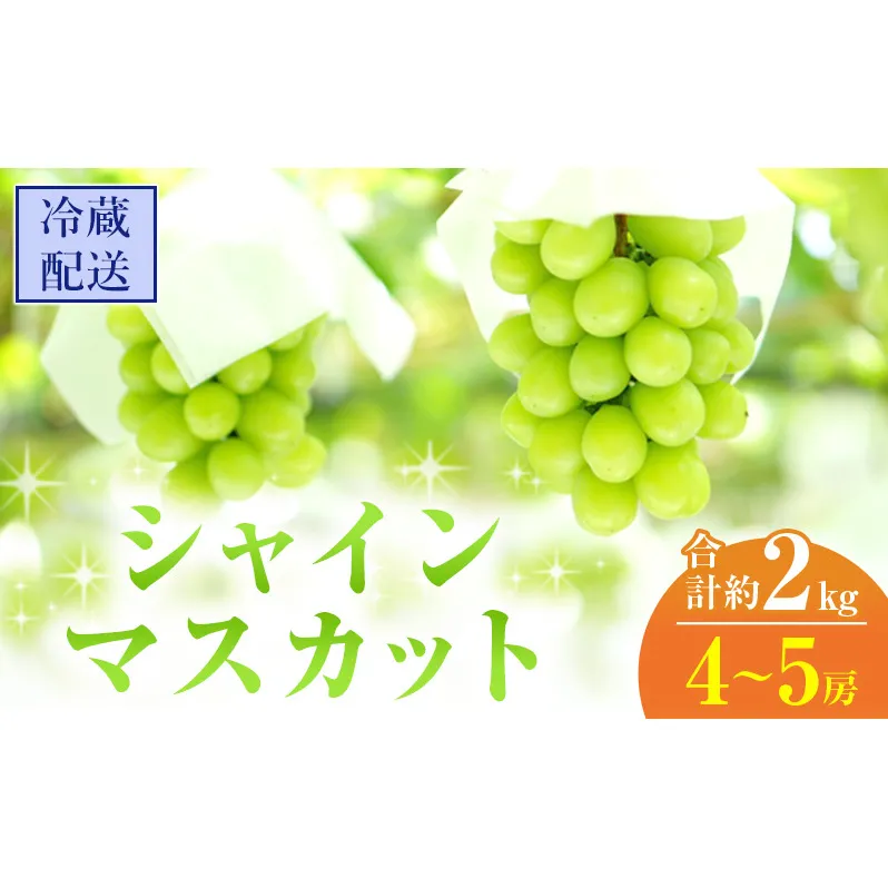 2025年 先行予約 シャインマスカット 4～5房 合計約2kg 冷蔵配送 ぶどう 葡萄 フルーツ 果物 岡山 岡山のぶどう 岡山の果物 食後 デザート 産地直送 大粒 皮ごと 種無し 