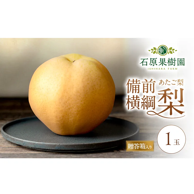 梨 2026年 備前横綱梨（あたご梨） 1玉 (1～1.4kg) 贈答箱 【11月下旬～12月中旬頃発送】 ナシ なし 岡山県産 国産 フルーツ 果物 ギフト 石原果樹園 繊細な味 ジャンボ梨 