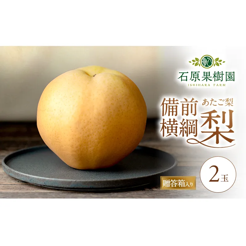 梨 2026年 備前横綱梨（あたご梨） 2玉 (1玉1～1.4kg）贈答箱【11月下旬～12月中旬頃発送】 ナシ なし 岡山県産 国産 フルーツ 果物 ギフト 石原果樹園 繊細な味 ジャンボ梨 