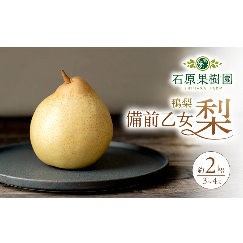 梨 2026年 先行予約 備前乙女梨（鴨梨） 3～4玉 合計約2kg【11月下旬～12月中旬頃発送】 ナシ なし 岡山県産 国産 フルーツ 果物 ギフト 石原果樹園 風味豊か 上品 希少な梨 