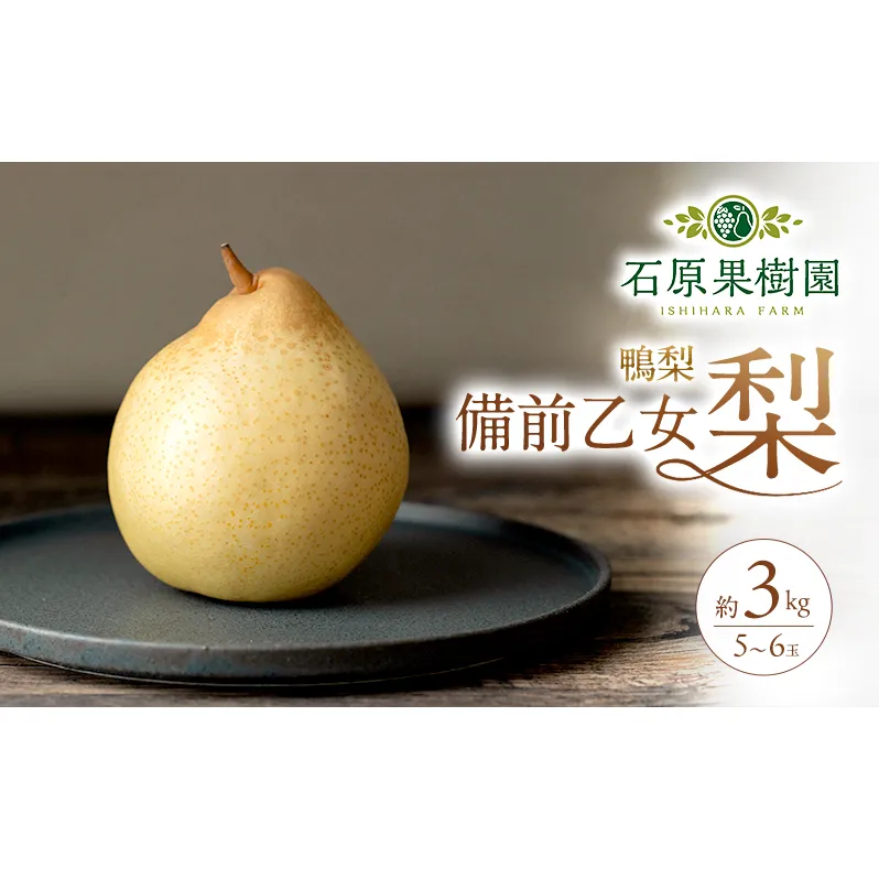 梨 2026年 先行予約 備前乙女梨（鴨梨） 5～6玉 合計約3kg【11月下旬～12月中旬頃発送】 ナシ なし 岡山県産 国産 フルーツ 果物 ギフト 石原果樹園 風味豊か 上品 希少な梨 
