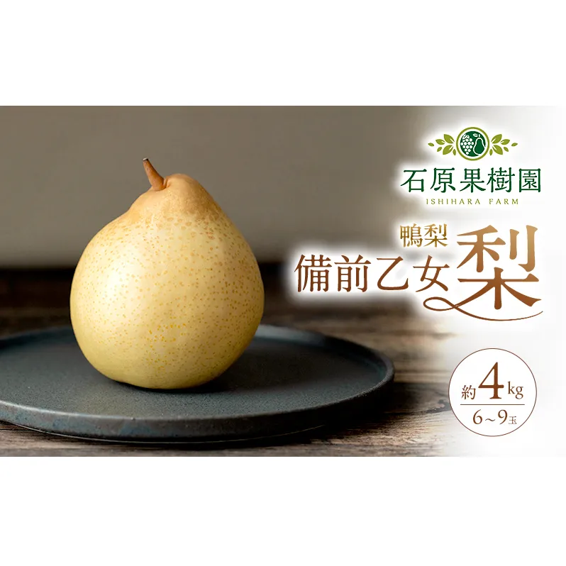 梨 2026年 先行予約 備前乙女梨（鴨梨） 6～9玉 合計約4kg【11月下旬～12月中旬頃発送】 ナシ なし 岡山県産 国産 フルーツ 果物 ギフト 石原果樹園 風味豊か 上品 希少な梨 