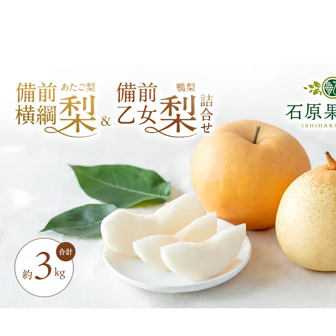 梨 2026年 先行予約 備前横綱梨（あたご梨）1玉 (1～1.5kg)・備前乙女梨（鴨梨） 3～5玉 詰合せ 合計約3.0kg【11月下旬～12月中旬頃発送】 岡山県産 フルーツ ギフト 石原果樹園 果物 食べ比べ