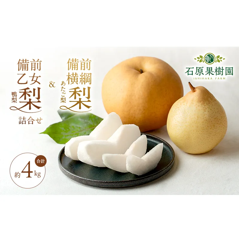 梨 2026年 先行予約 備前横綱梨（あたご梨） 2玉（1玉1～1.5kg）・備前乙女梨（鴨梨） 4～6玉 詰合せ 合計約4.0kg【11月下旬～12月中旬頃発送】岡山県産 フルーツ ギフト 石原果樹園 